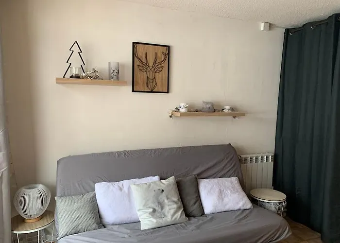 Appartement Au Pied Des Pistes