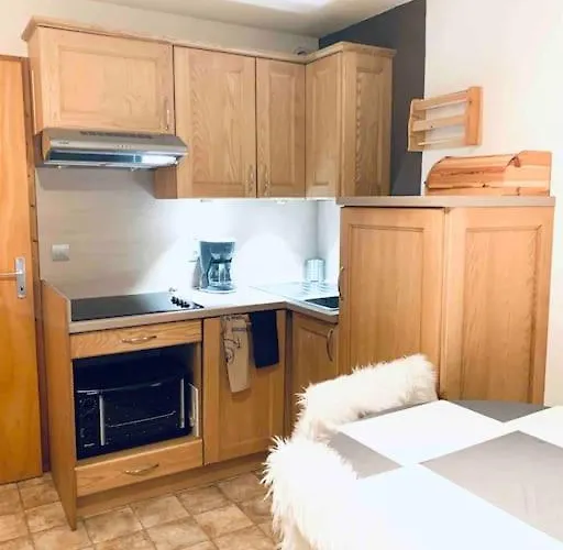 Appartement Au Pied Des Pistes